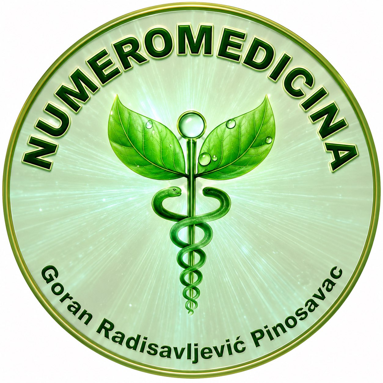 Numeromedicina i Energetska Dijagnostika